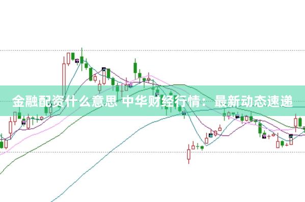 金融配资什么意思 中华财经行情：最新动态速递