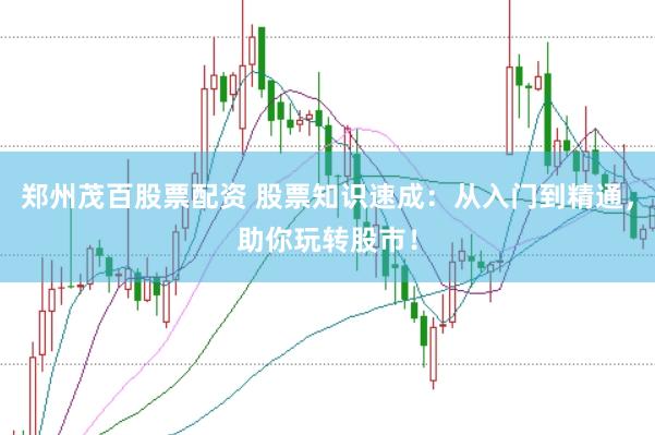 郑州茂百股票配资 股票知识速成:从入门到精通,助你玩转股市!
