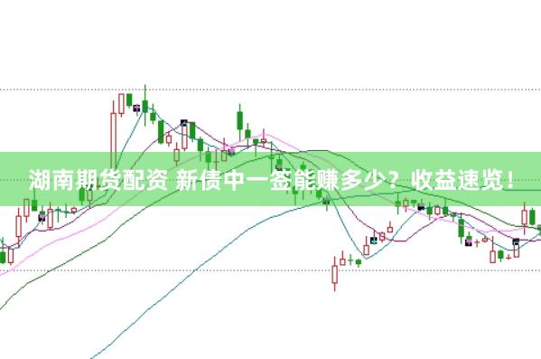 湖南期货配资 新债中一签能赚多少？收益速览！