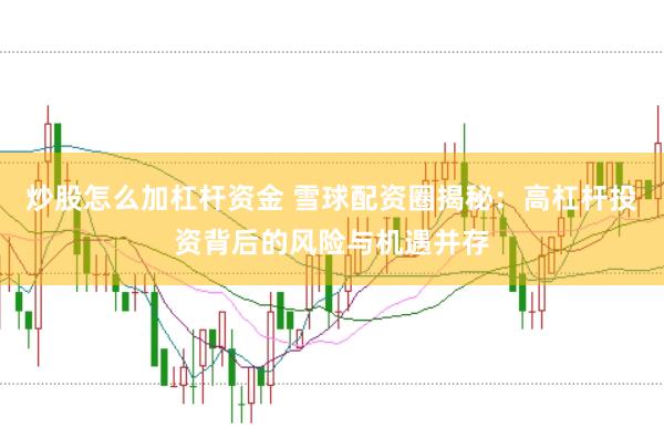 炒股怎么加杠杆资金 雪球配资圈揭秘：高杠杆投资背后的风险与机遇并存