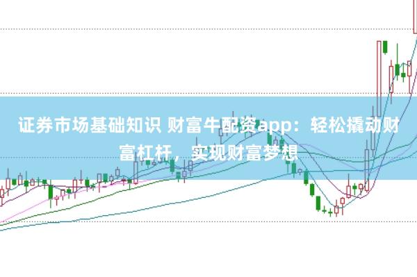 证券市场基础知识 财富牛配资app:轻松撬动财富杠杆,实现财富梦想