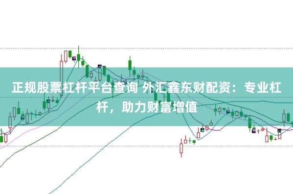 正规股票杠杆平台查询 外汇鑫东财配资：专业杠杆，助力财富增值