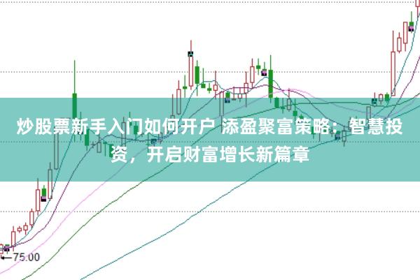 炒股票新手入门如何开户 添盈聚富策略:智慧投资,开启财富增长新篇章